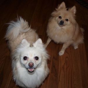 Meet your Posher, Michele